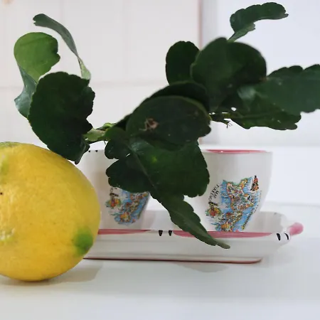 Maremeu Tropea Santa Domenica (Vibo Valentia)