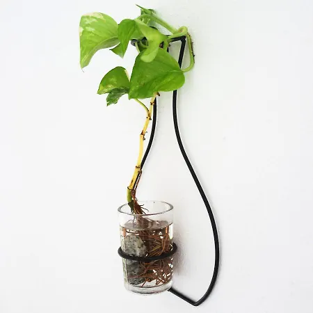 Maremeu Tropea Daire Santa Domenica (Vibo Valentia)