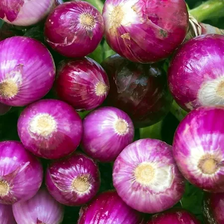 Maremeu Tropea * Santa Domenica (Vibo Valentia)