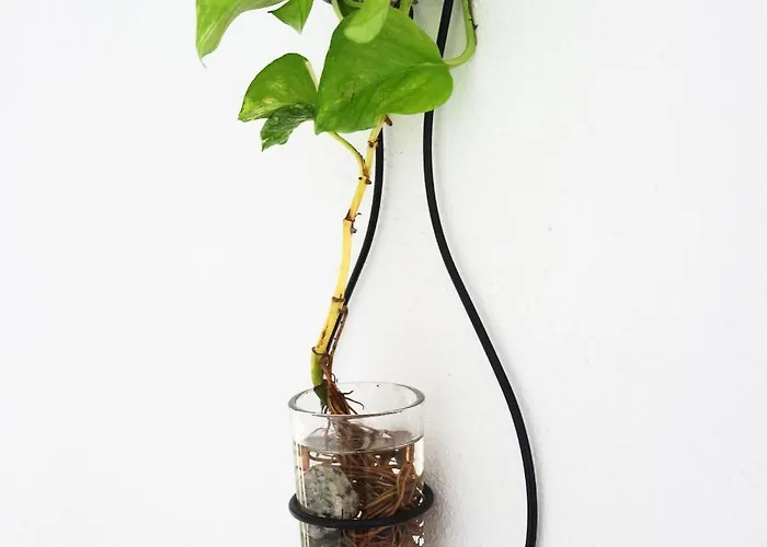 Maremeu Tropea Appartamento Santa Domenica (Vibo Valentia)