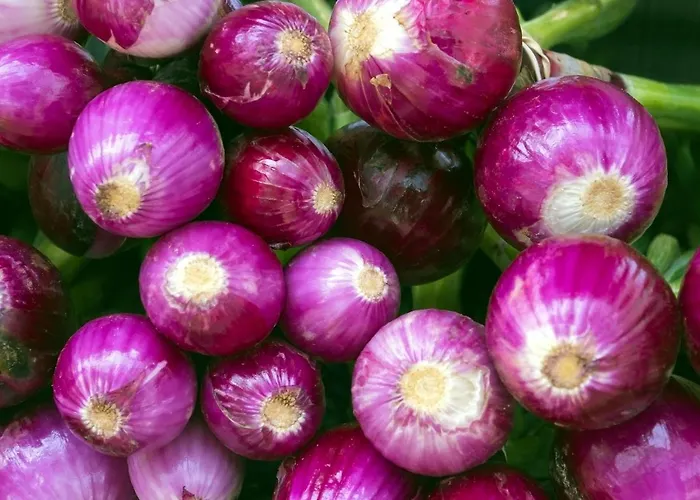 Maremeu Tropea * Santa Domenica